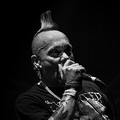 Click to enlarge GutterPunk - Professional Concert Photography